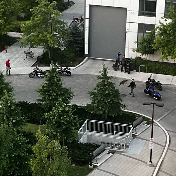 Meet your Posher, Bob - Picture 1 of 1